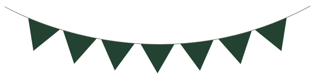 immagine decorativa festoni